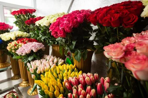 Many different colors on the stand table in the flower shop. Showcase. Backgr Stock Photos
