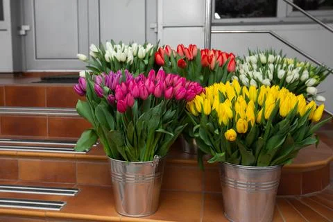 Many different colors on the stand table in the flower shop. Showcase. Backgr Stock Photos