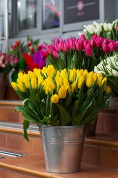 Many different colors on the stand table in the flower shop. Showcase. Backgr Stock Photos