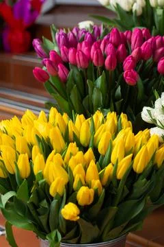 Many different colors on the stand table in the flower shop. Showcase. Backgr Stock-Fotos