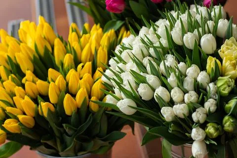 Many different colors on the stand table in the flower shop. Showcase. Backgr Stock Photos