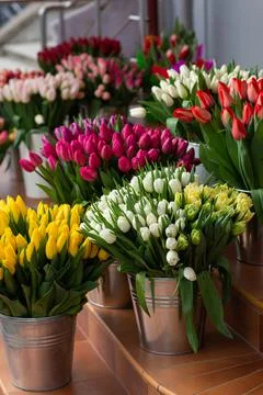 Many different colors on the stand table in the flower shop. Showcase. Backgr Stock Photos