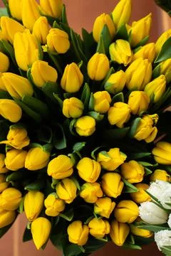 Many different colors on the stand table in the flower shop. Showcase. Backgr Stock Photos