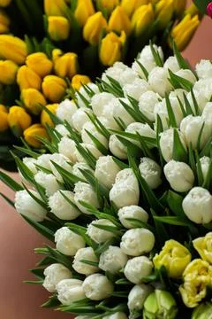 Many different colors on the stand table in the flower shop. Showcase. Backgr Stock Photos