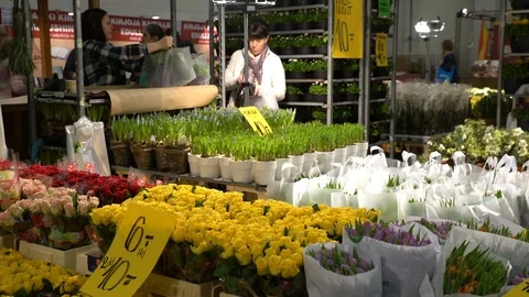 Many different flowers and plants in the star shop Stock Footage
