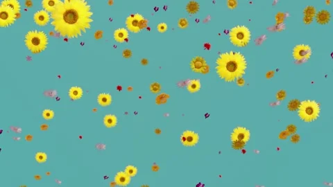Many different flowers falling on a blue background. Seamless looping animation Stock Footage 241602720