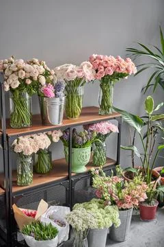 Many different flowers on Showcase. Background of mix of flowers. Beautiful Stock Photos