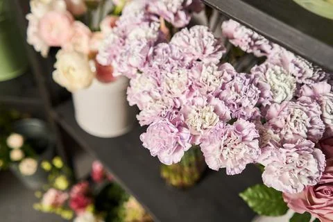 Many different flowers on Showcase. Background of mix of flowers. Beautiful Stock Photos