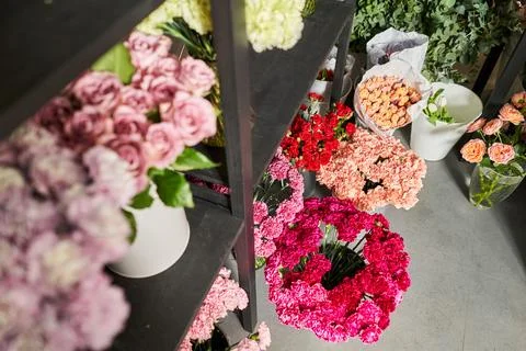 Many different flowers on Showcase. Background of mix of flowers. Beautiful Stock Photos