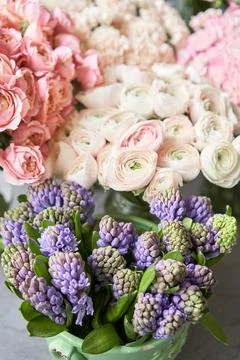Many different flowers on Showcase. Background of mix of flowers. Beautiful Stock Photos