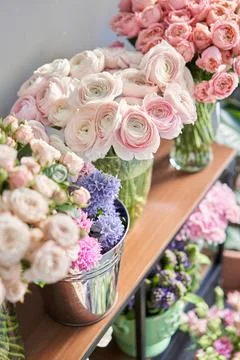 Many different flowers on Showcase. Background of mix of flowers. Beautiful Stock Photos