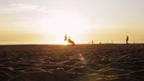 Many different people ashore during sunset. young man with a dog, a wheelchair Stock Footage 115311660