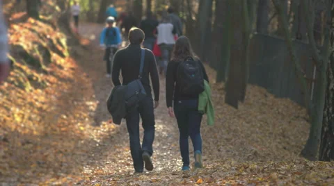 Many different people walking and excercising in the forest Stock Footage 56635478