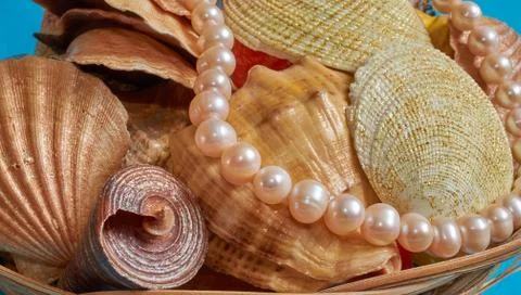 Many different shells and pearl beads in a basket on a blue background. Stock Photos