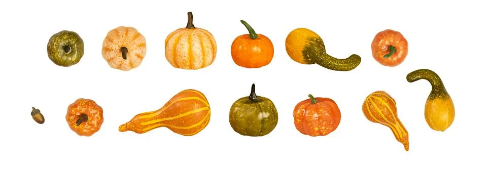 Many different small isolated pumpkins from different angles on white background Stock Photos