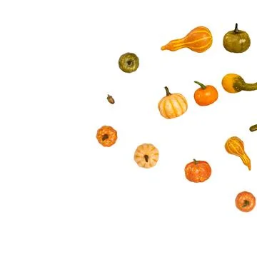 Many different small pumpkins from different angles on white background Stock Photos