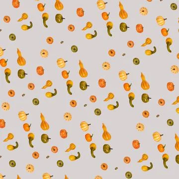 Many different small pumpkins from modern trending color background, art object Stock Photos