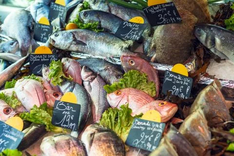 Many different types of fresh raw fish at the fish market with price tags. La Stock Photos