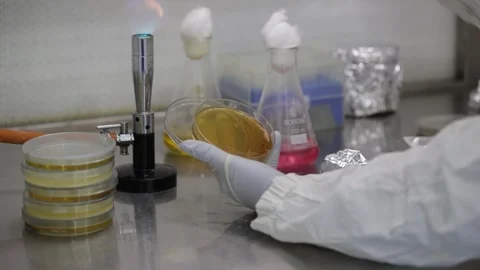 Many different types of testing are being done in the laboratory Stock Footage 277135478
