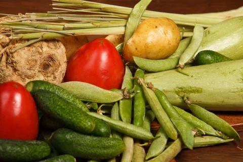 Many different vegetables Фото