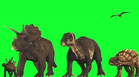 Many dinosaurs in migration to somewhere Stock Footage 56476345