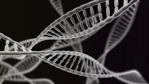 Many DNA chains on the black background Stock Illustration