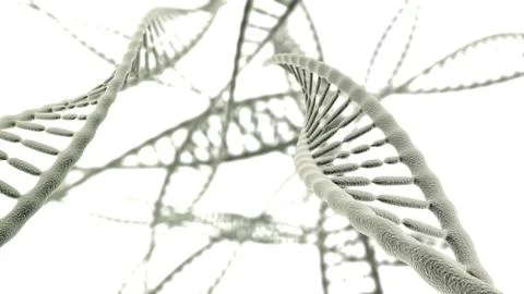 Many DNA chains close up on the light background Stock Illustration