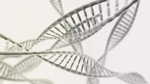 Many DNA chains on the light background Stock Illustration