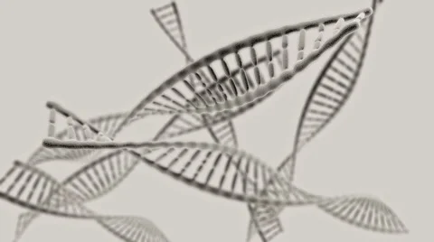 Many DNA chains rotation on the light background (HD video 1080) Stock Footage 50958312