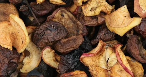 Many dried fruit apples are scattered as a background Stock Footage 107831029