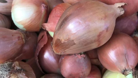 Many dried onions together Stock Footage 146993166
