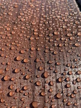 Many drops of water on a dark tree Stock Photos