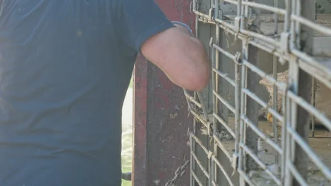 Many ducks in duck farm. Workers collect load ducks on a truck from a duck farm. Stock Footage 128211516
