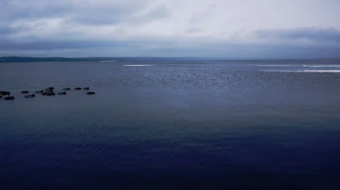 Many ducks passing through large lake Stock Footage 34738137