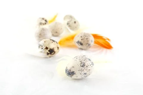 Many easter quail eggs scattered on white tablecloth Stock Photos
