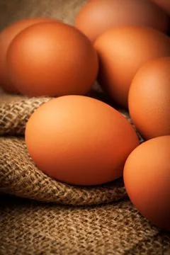 Many eggs on burlap Foto stock