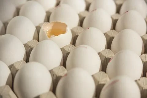 Many eggs in egg box, one broken egg shell with visible egg yolk, vitellus. Stock Photos