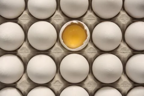 Many eggs in egg box, one broken egg shell with visible egg yolk, vitellus. Stock Photos