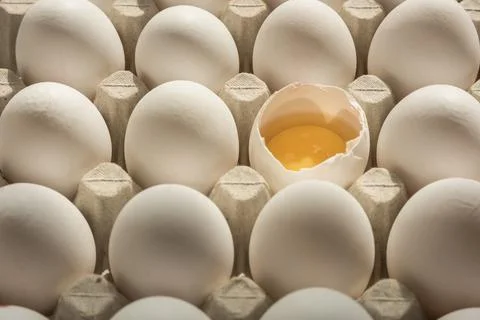 Many eggs in egg box, one broken egg shell with visible egg yolk, vitellus. Stock Photos