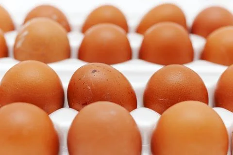 Many eggs lined up in a tray ready for cooking or baking at home Stock Photos