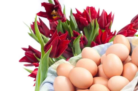 Many eggs in shell and red tulips bouquet Stock Photos