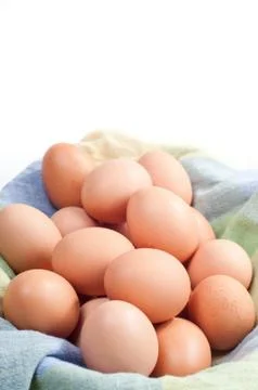 Many eggs in shell lying Foto stock