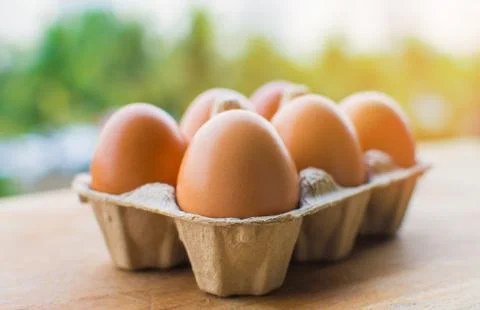 Many eggs on the tray Stock Photos