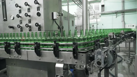 Many empty green bottles on the bottling line at the brewery. Brewing technology Vidéo 151885892