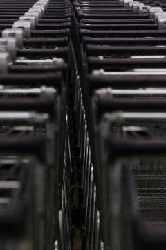 Many empty shopping carts in a row. Fotos Stock