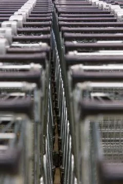 Many empty shopping carts in a row. Stock Photos
