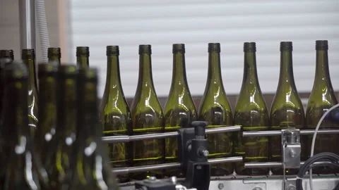 Many empty tall green wine bottles move along the conveyor belt Stock Footage 231031630