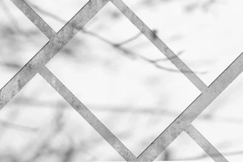 Many empty white rectangle poster mockups with tree shadow Stock Photos