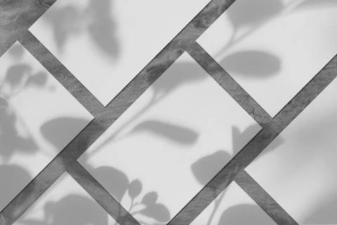 Many empty white vertical rectangle poster mockups with soft tree leaves shadow Stock Photos