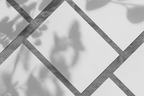 Many empty white vertical rectangle poster mockups with soft tree leaves shadow Stock Photos